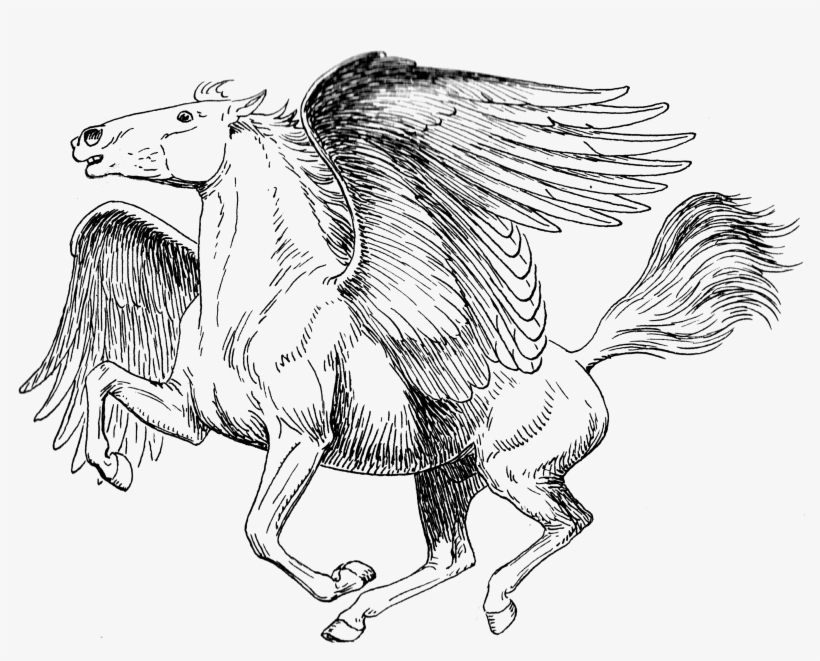 Greek Mythology Png Hd - Drawing Pad: Sketchbook, Pegasuas108 Blank Pages, Extra, transparent png