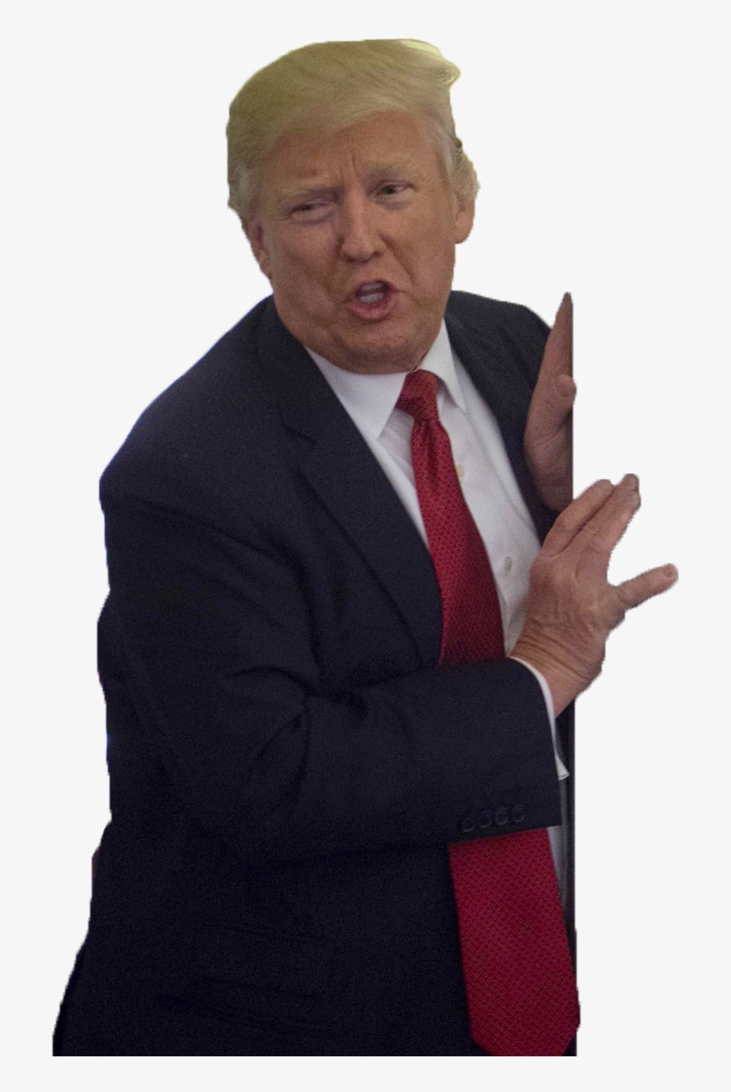 Persondonald Trump - Donald Trump Png, transparent png