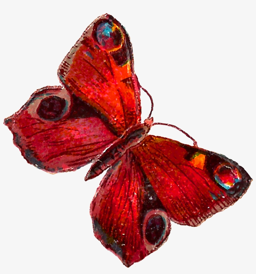 Red Butterfly Png Pic - Red Butterfly Wings Png, transparent png