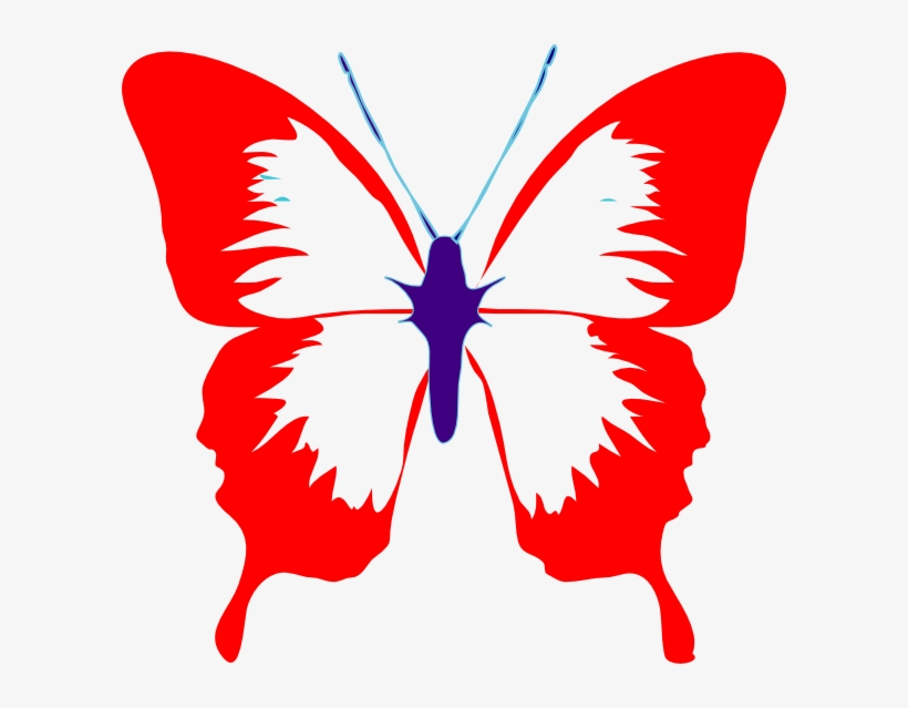 Butterfly Clipart Black And White, transparent png