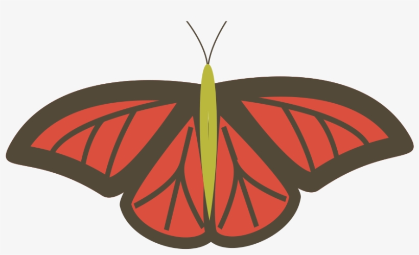 Butterfly, transparent png