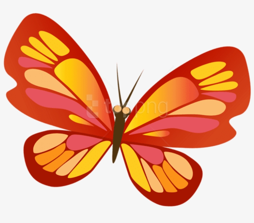 Butterfly With Red Png Image - Portable Network Graphics, transparent png