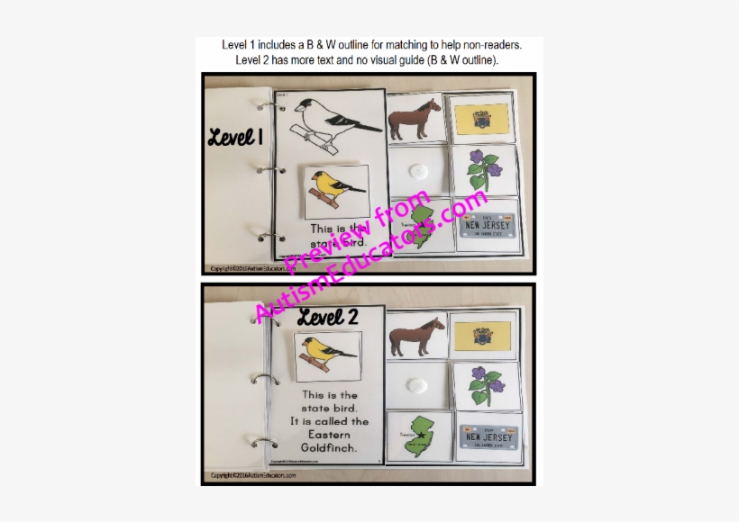Special Education, transparent png