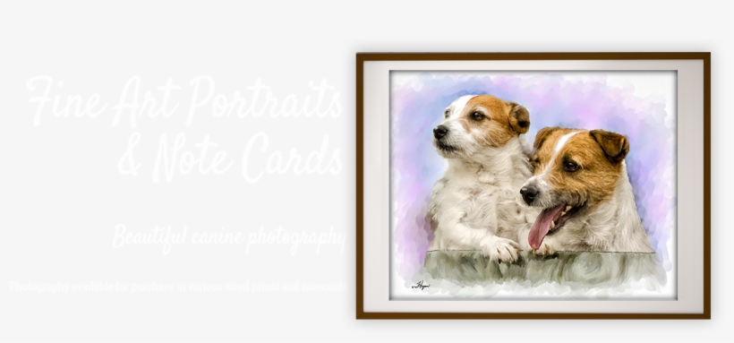 Home - Parson Russell Terrier, transparent png