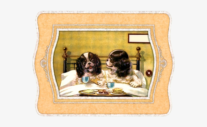 Mister Layam And The Little Lady Suprised Me With A - Animals In Bed, transparent png