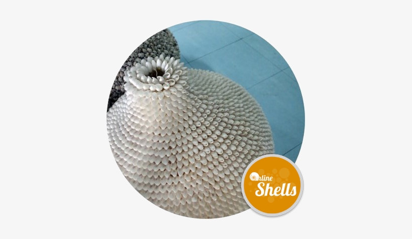 Bubble White Seashells - Floor, transparent png