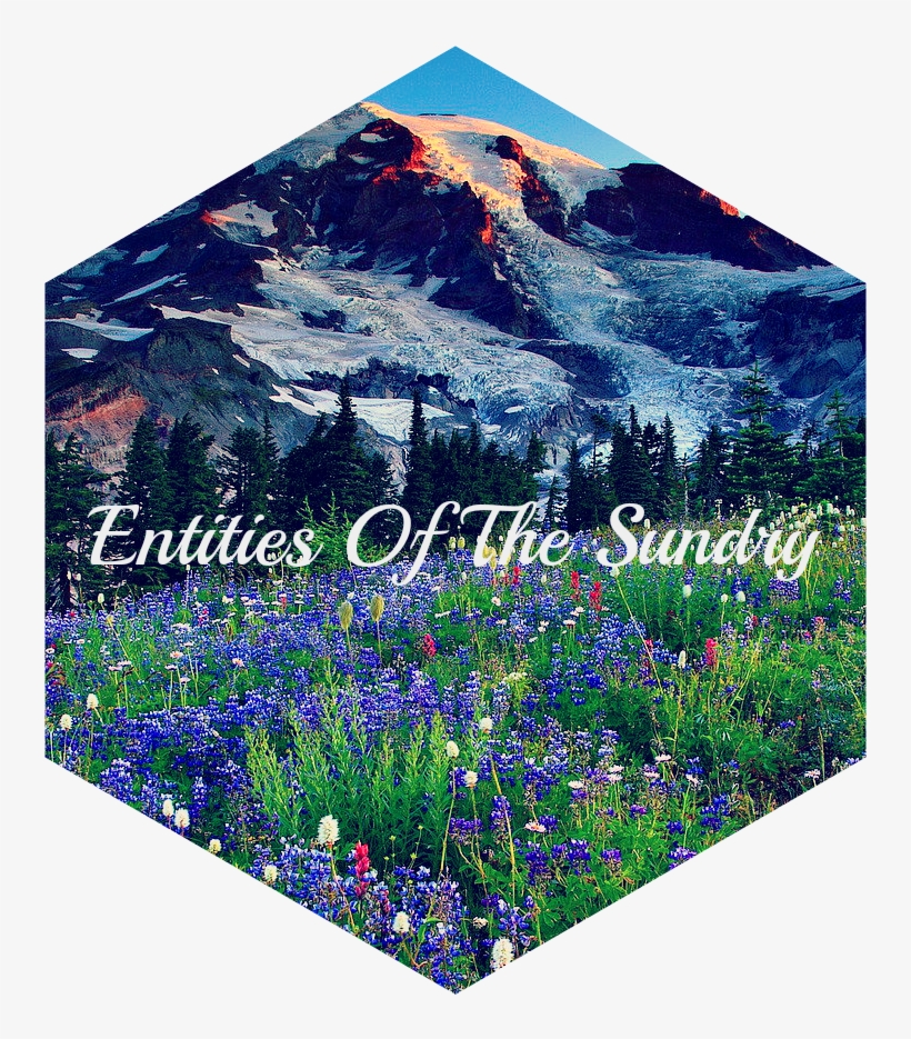 Mountains Mount Rainier Hills Grass Glacier Slope Meadow - Bluebonnet, transparent png