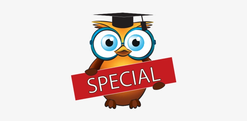 Diploma Of Chakra-puncture Special Offer - Spaeicla Offer Banner Png, transparent png