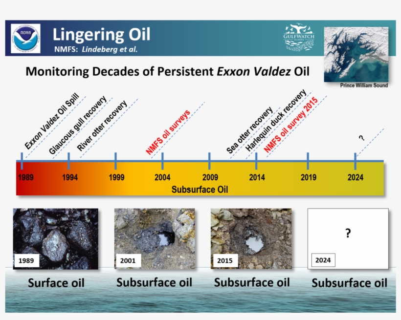 Lindgering Oil In Prince Williams Sound Graphic - Gulf Of Alaska, transparent png