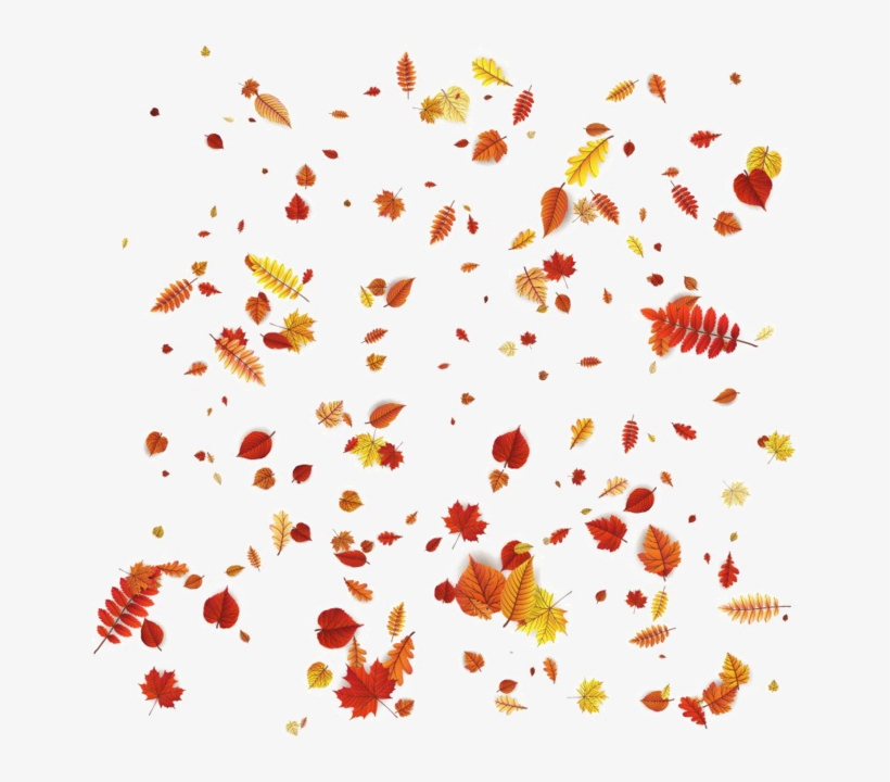 Falling Autumn Leaves Transparent Image - Transparent Png Autumn Leaves, transparent png