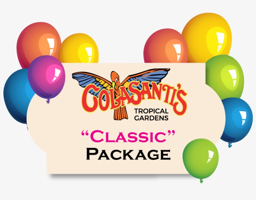 Birthday Party Activity Card Colasantis - Nannygoatscloset Rod Of Asclepius, Medical Symbol,, transparent png