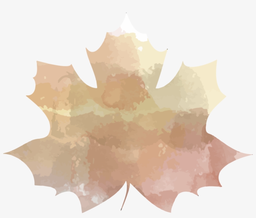 We Find More Beauty In Autumn Leaves Changing Colour - Maple Leaf, transparent png