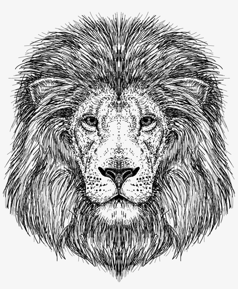 Lion Vector Clipart Png - Eu Quero Conhecer Jesus, transparent png