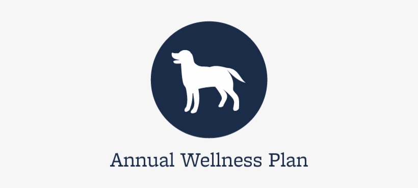 Wellness Plans At Vacaville Animal Care Center - Starch Pet Hospital, transparent png