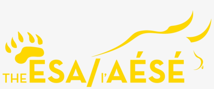 Share This - - Illustration, transparent png