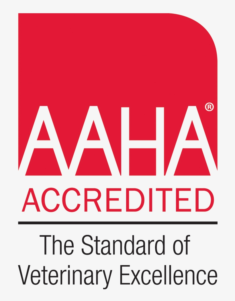 Aaha - Aaha Accredited Vet, transparent png