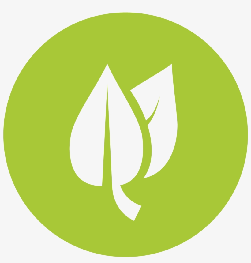 Realistic Frog - Leaf Flat Icon Png, transparent png