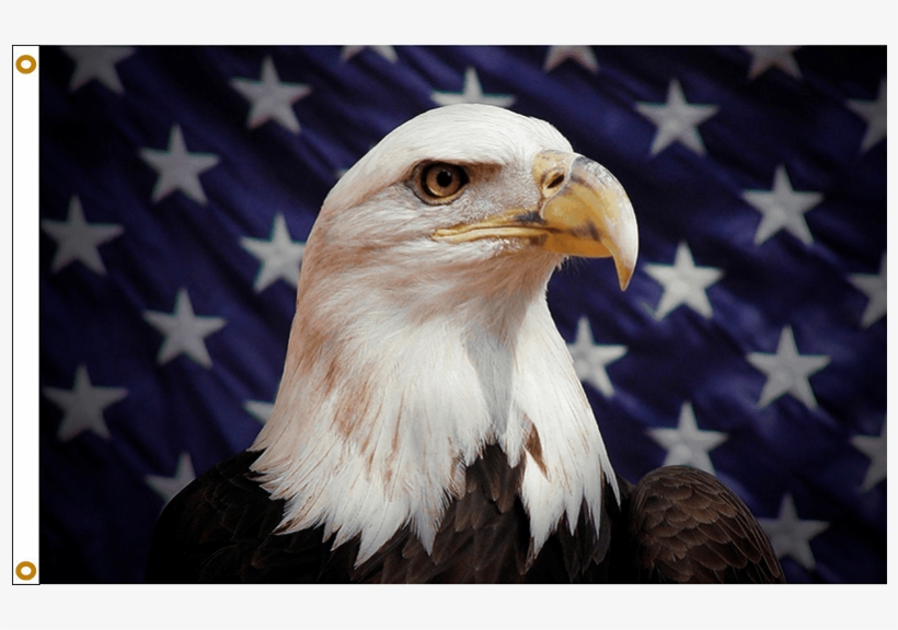 Patriotic Stars & Stripes American Eagle Flag - Eagle Flag, transparent png