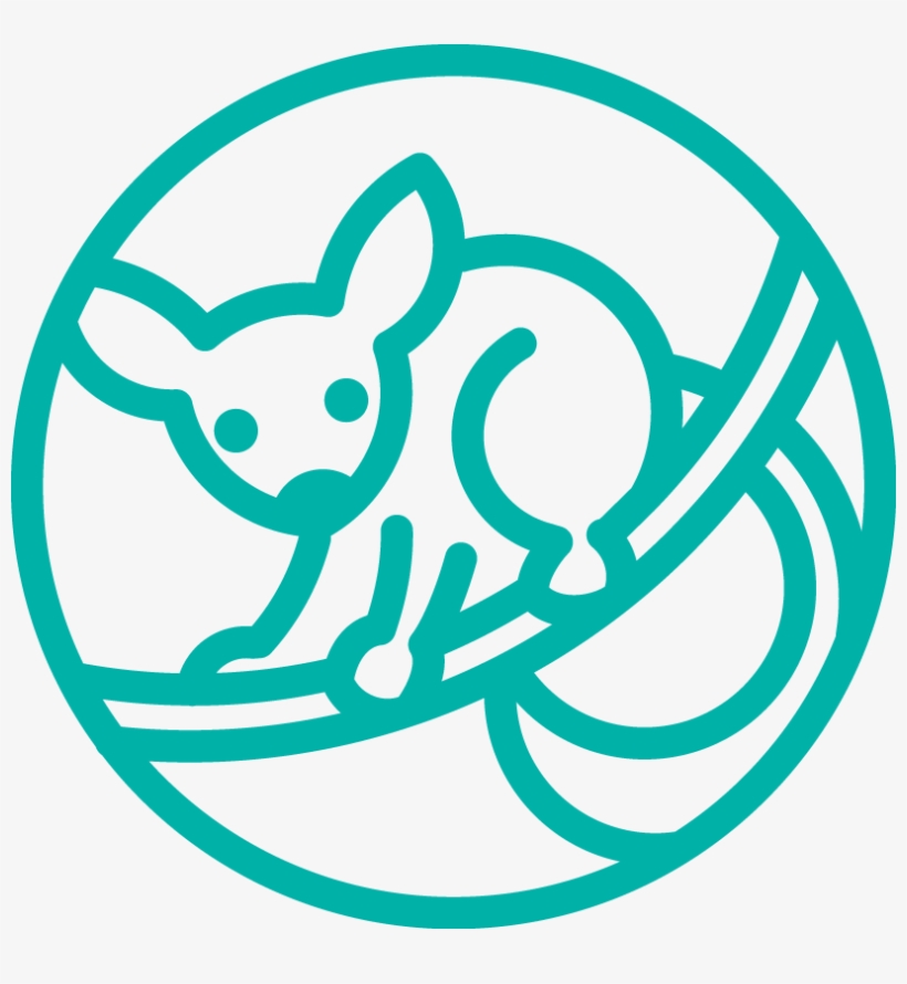 Coast Marine Icon - Wildlife, transparent png
