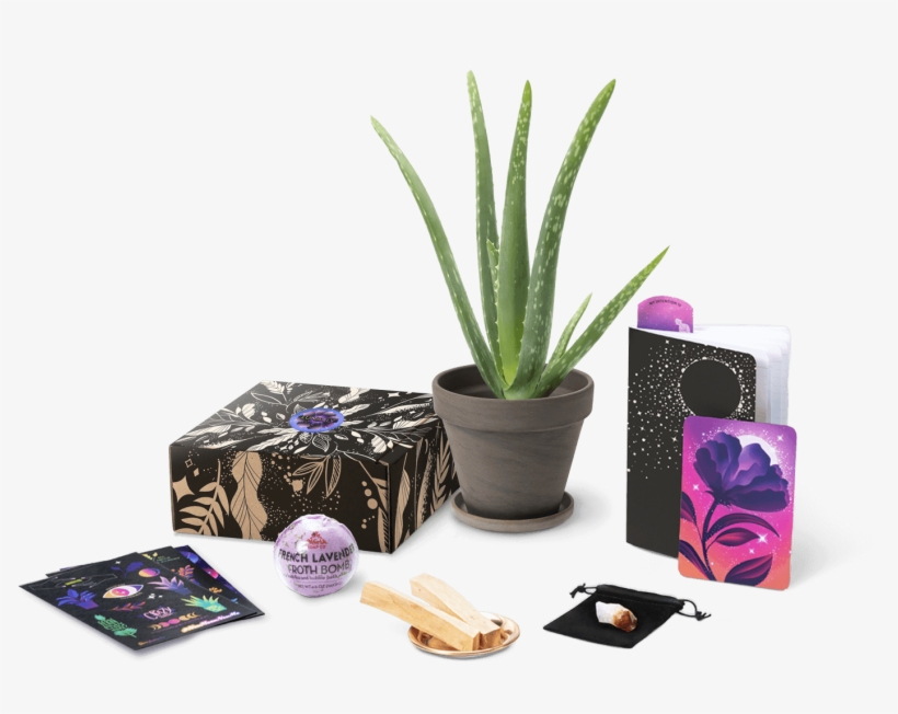 Grow Your Intentions Subscribe - Lunarly Subscription Box Review, transparent png