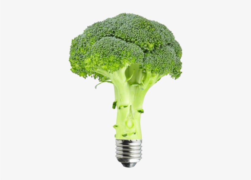 Broccoli Renewable Energy Bulb - Broccoli, transparent png