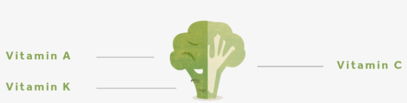 Brocoli-01 - Cauliflower, transparent png