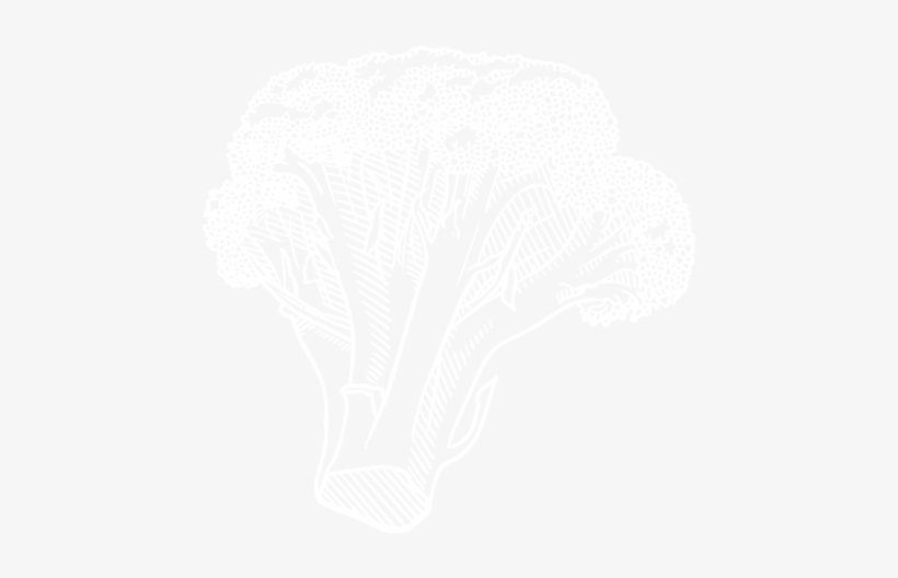 Broccoli, transparent png