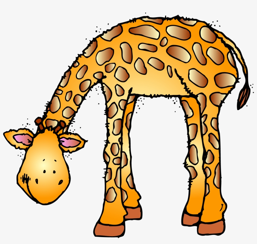 Download Zoo Animal Clipart Zoo Animals Clip Art 1383x1247 Png Download Pngkit