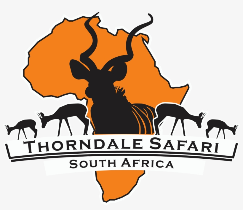 Thorndale Safari - Hunting South Africa, transparent png