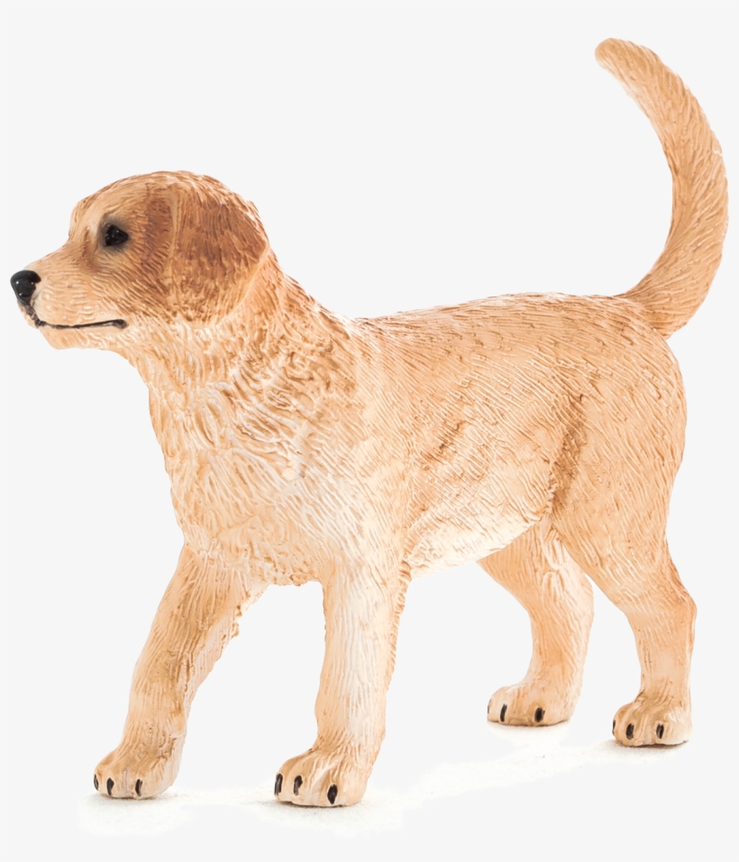 Animal Planet - Golden Retriever Puppy, transparent png