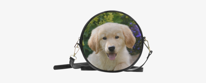 Cute Young Golden Retriever Dog Goldie Puppy Portrait - Miraculous Ladybug Marinette Bag, transparent png