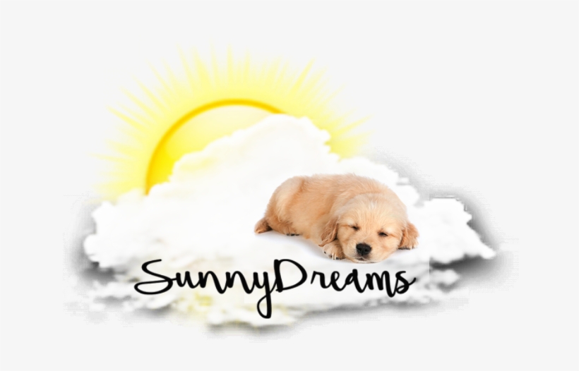 Logo - Golden Retriever, transparent png