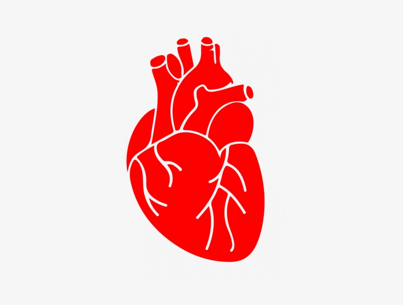 G's Tips For A Healthy Heart, transparent png