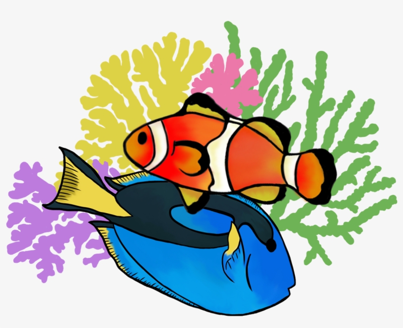 And Now A Fun Combo Of The Two, transparent png