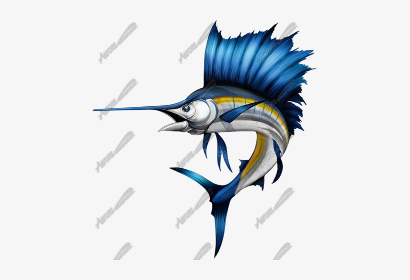 Awesome Marlin Clipart Sailfish Graphics Image Search - Sailfish Graphic, transparent png