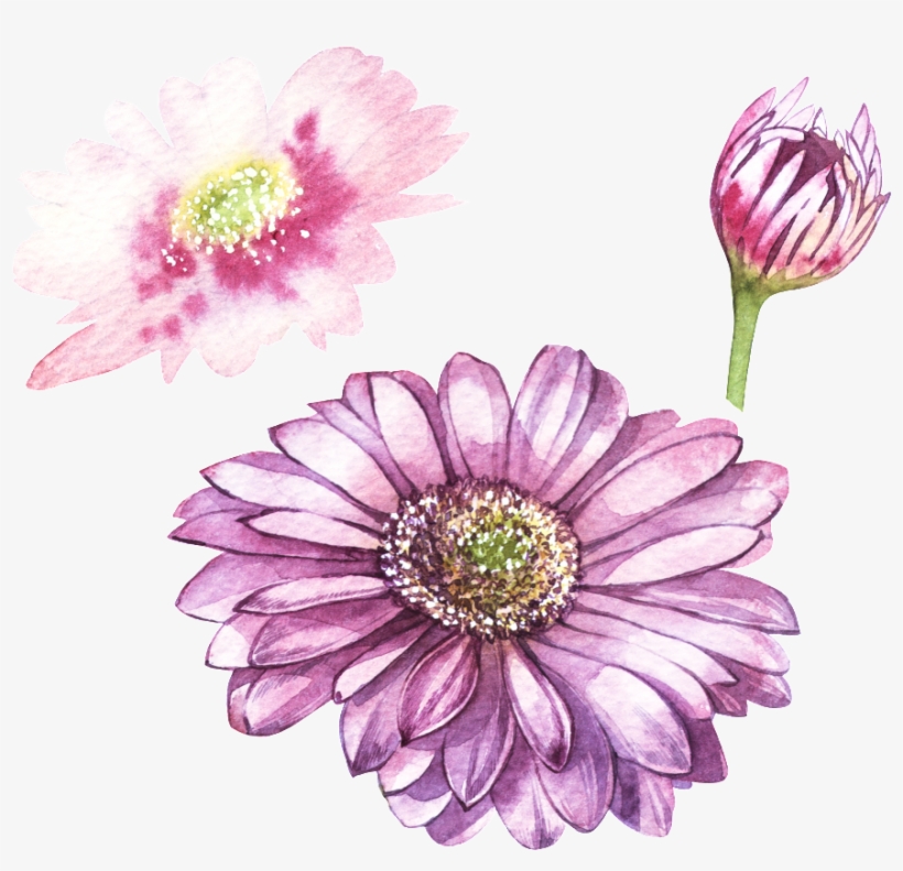 Watercolor Painting, transparent png