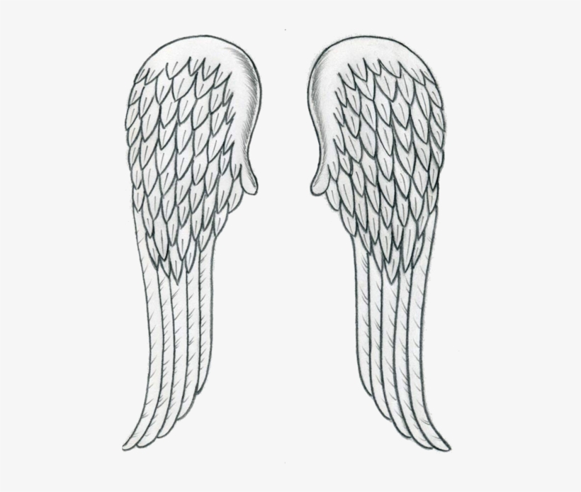 Source - Data - Whicdn - Com - Report - Transparent - Angel Wing Drawing Easy, transparent png