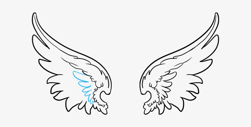 Wings Drawing Free Clip Arts Sanyangfrp - Angel Wings Drawing Png, transparent png