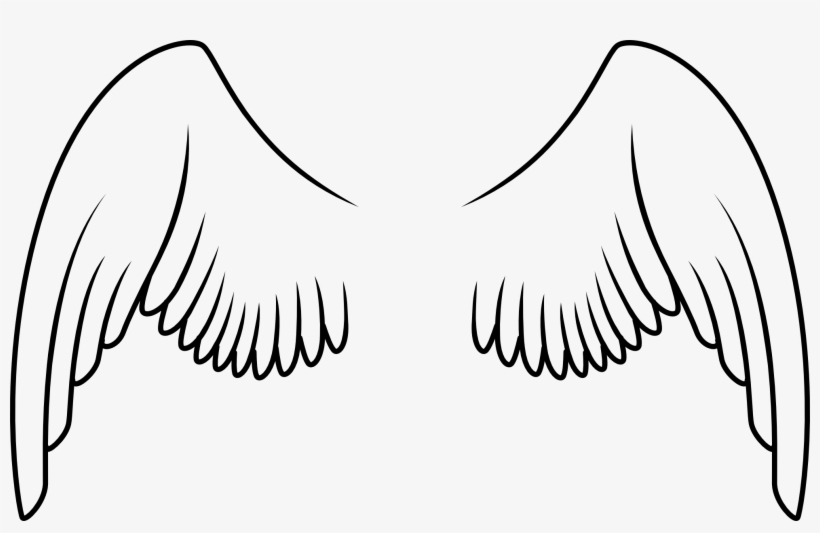 Being A Fan Doesn T Mean Being There From The Start - Alas De Un Ave Para Dibujar, transparent png