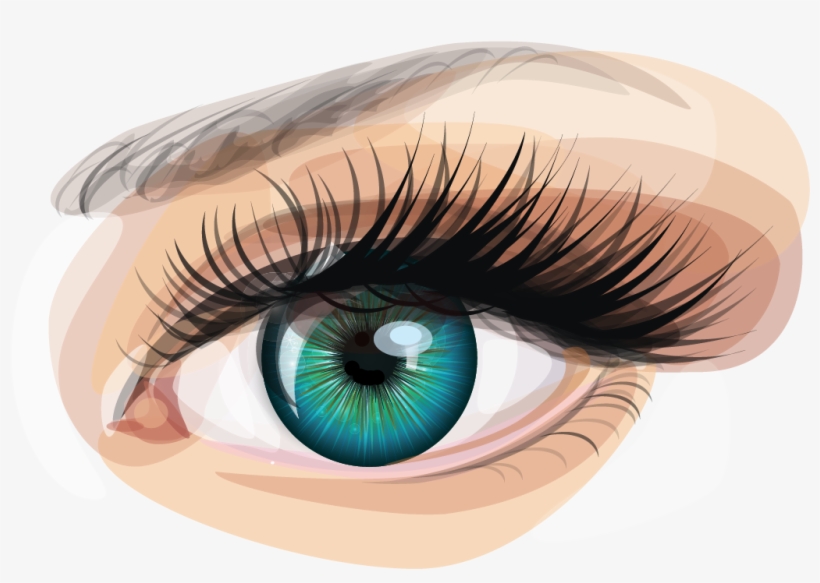Human Eye Euclidean Vector Clip Art - Eyelash Demodex, transparent png