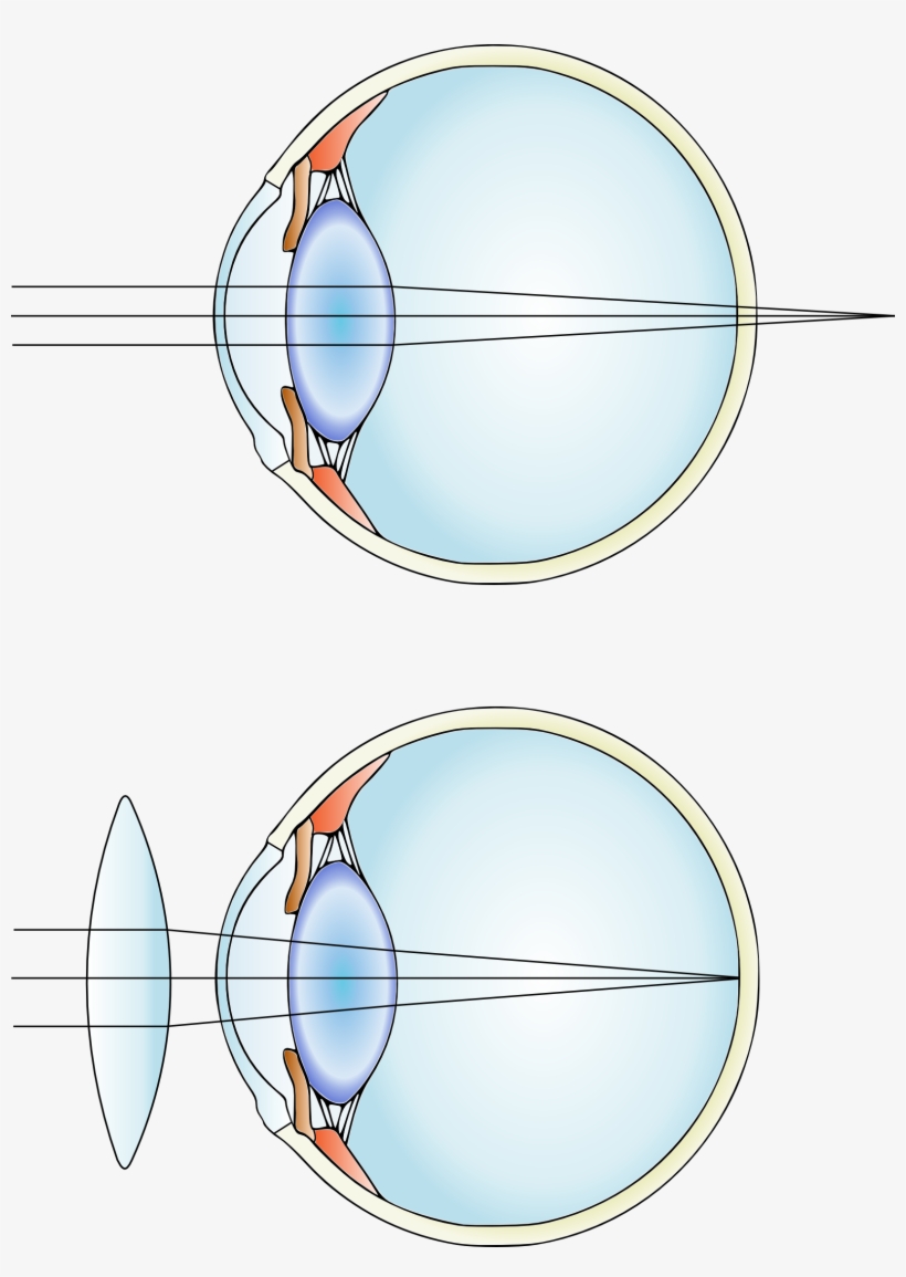 Far-sightedness, transparent png