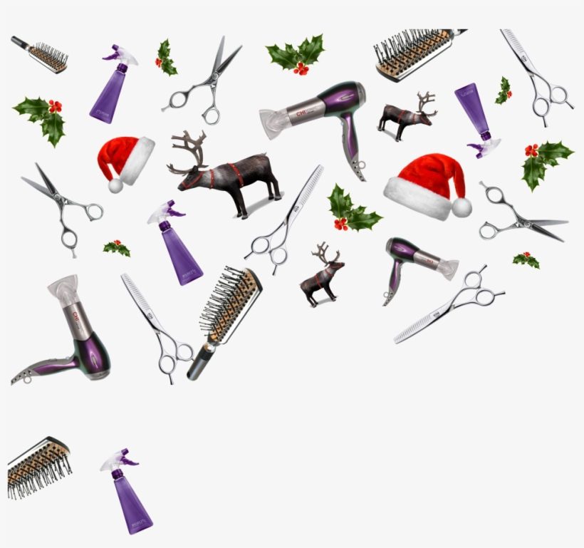 Faith Hair Design Hairdresser Highcliffe, Christchurch - Chi Ionic Designer Chameleon Hair Dryer With Diffuser, transparent png