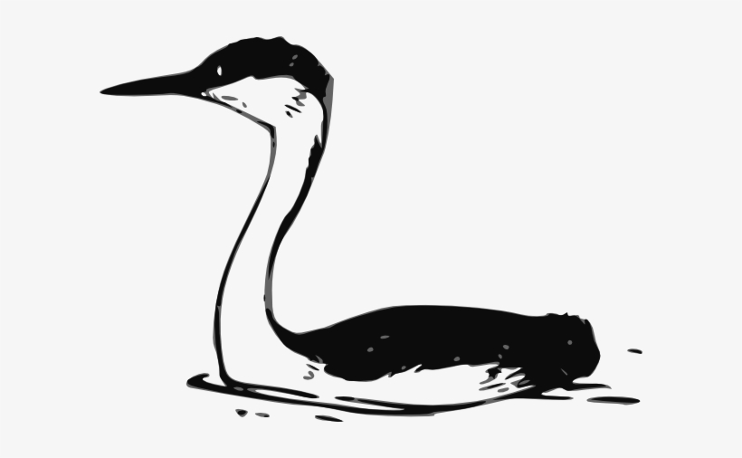 Western Grebe Svg Clip Arts 600 X 426 Px, transparent png