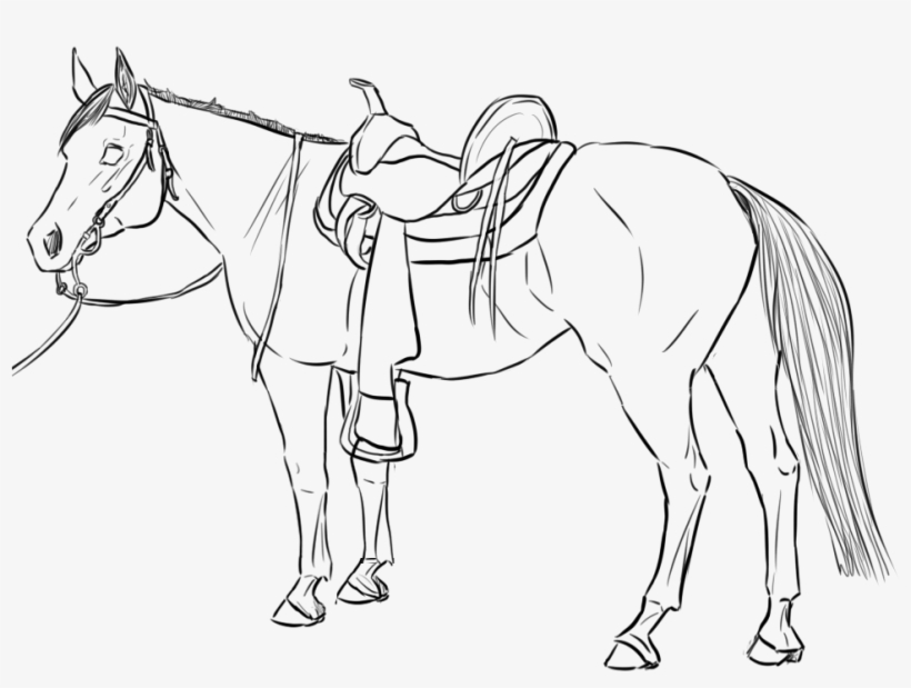 Horse, transparent png