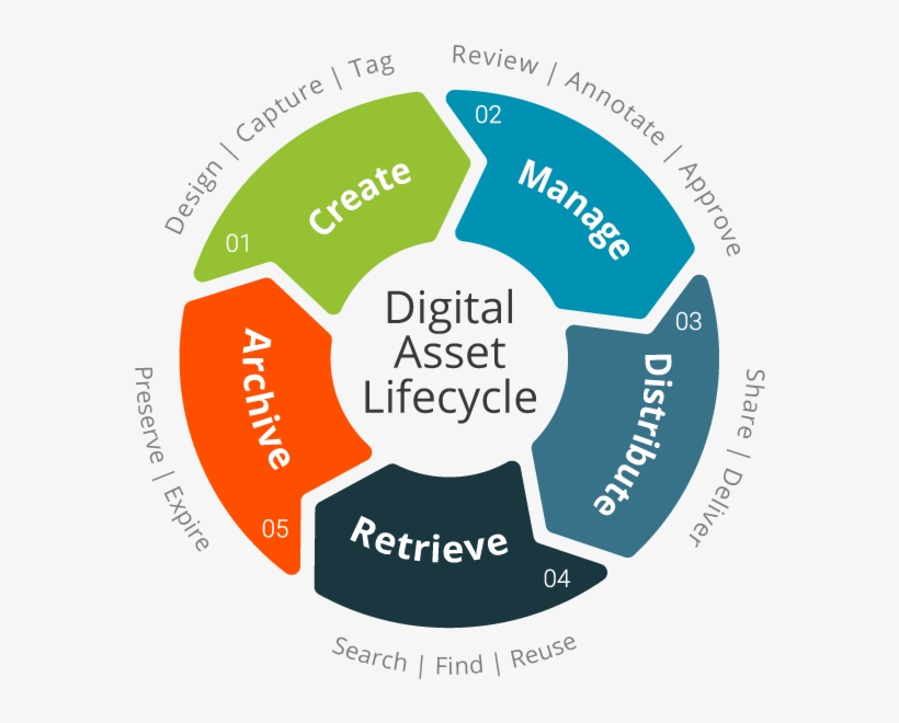 Ensuring The Success Of Your Digital Assets Management - Digital Asset Management Lifecycle, transparent png
