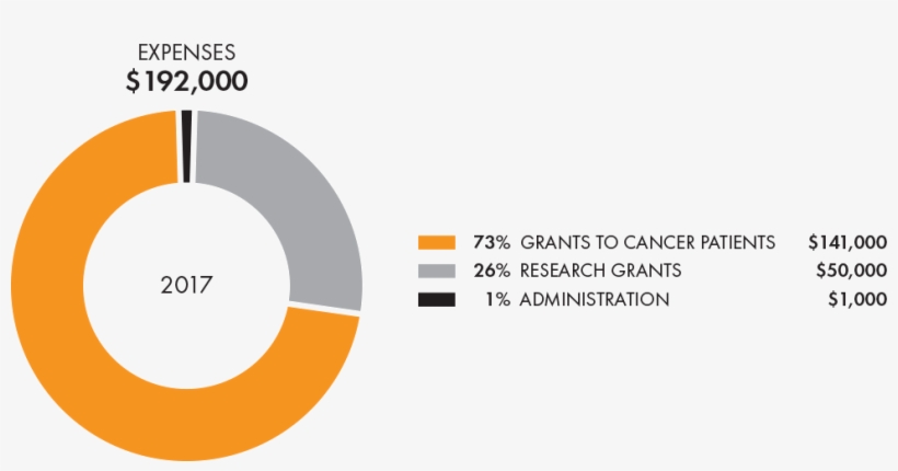 Dam Cancer 2017 Financials - Cancer, transparent png