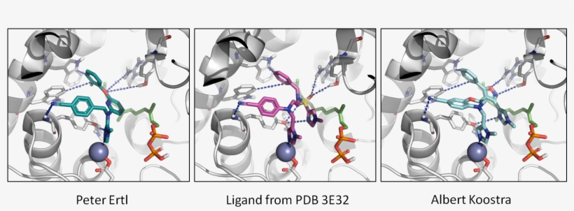 Dam Winner Molecuels In Context Of Protein - Protein, transparent png