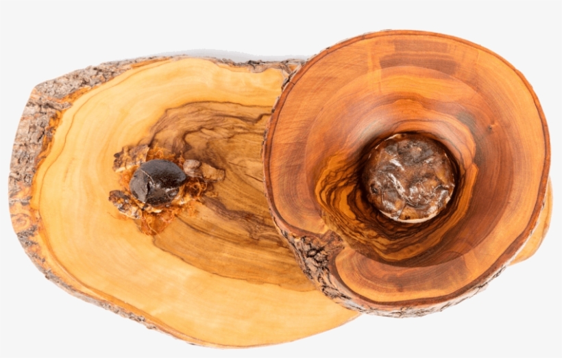 View Menu´s - Wood, transparent png