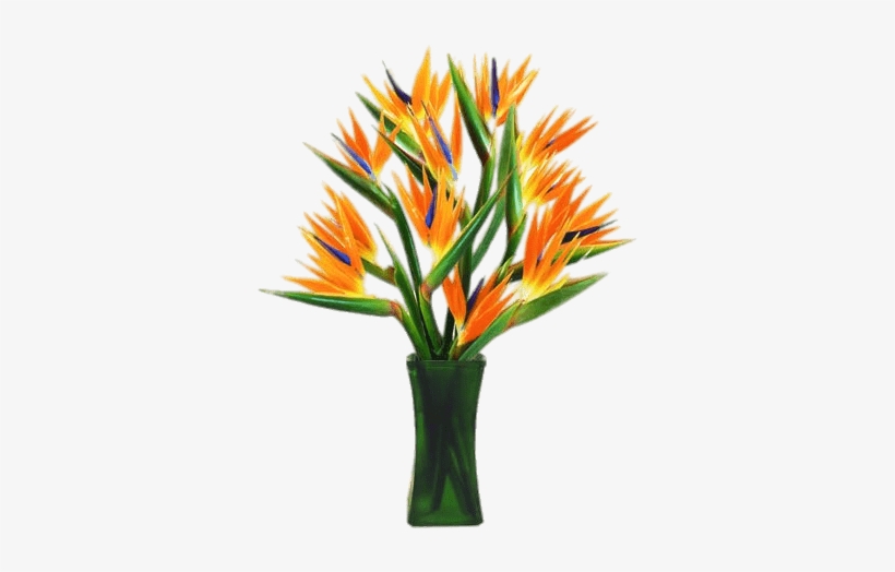 Bird Of Paradise Flowers In A Vase - Ave Del Paraiso Florero, transparent png