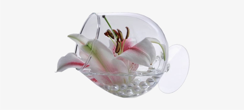Brandy Glass Flower - Good Morning Best Images Hd, transparent png